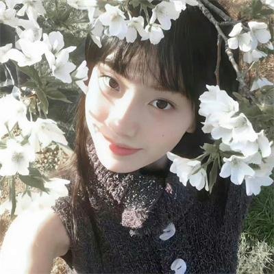 驾校故事