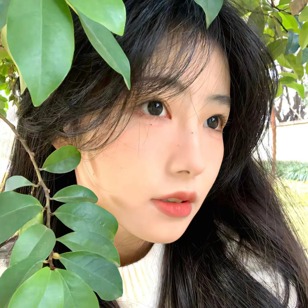 血与水第二季